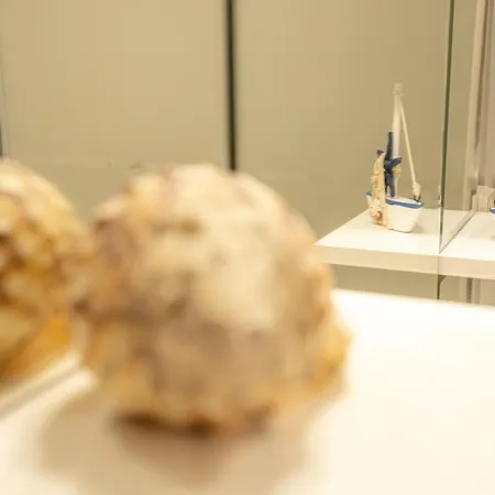 Tamargueira * Buarcos