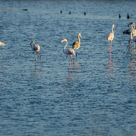 Appartement Tamargueira Buarcos