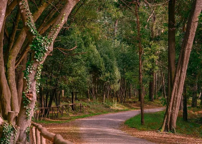 Tamargueira